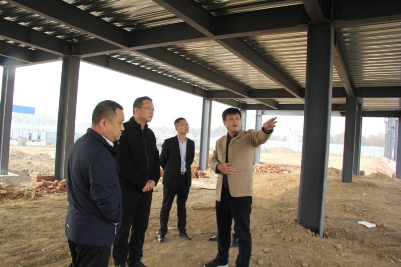 Liu Yu, member of the Standing Committee of the CPC Municipal Committee and vice mayor of the municipal government, visited Longgang Auto City