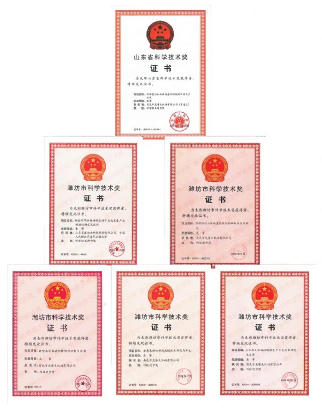 [good news] Longgang silicon Co., Ltd. won the first prize of Weifang Science and Technology Progress Award！