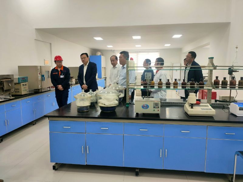 City leaders went to Longgang Silicon Industry Company to investigate scientific and technological innovation work