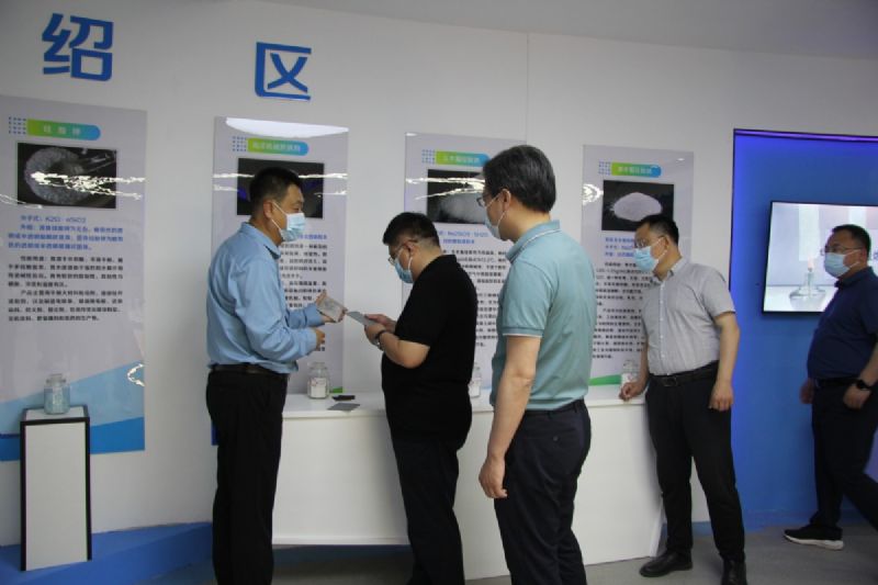 Leaders of the Provincial Oceanic Administration visited Longgang Silicon Industry Co., Ltd