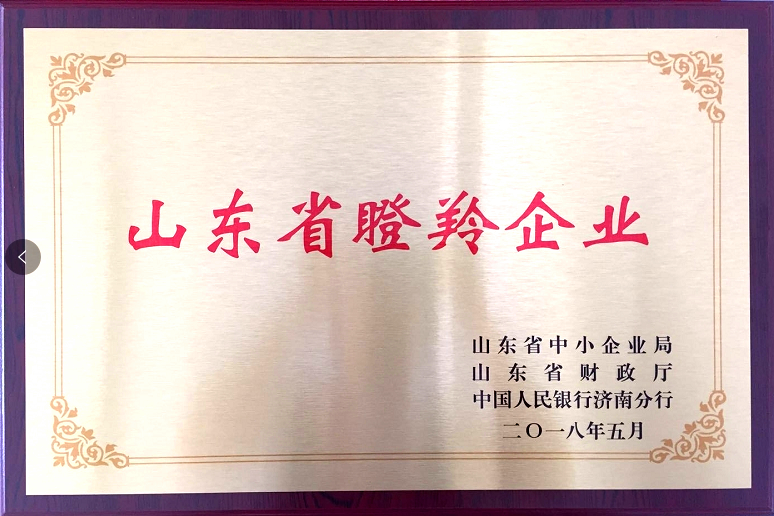 回首過(guò)去，不忘初心；展望未來(lái)，砥礪前行丨2019，龍港再出發(fā)！